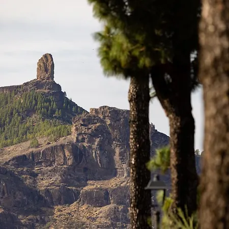 Holiday home Casa Maruca With Roque Nublo View *